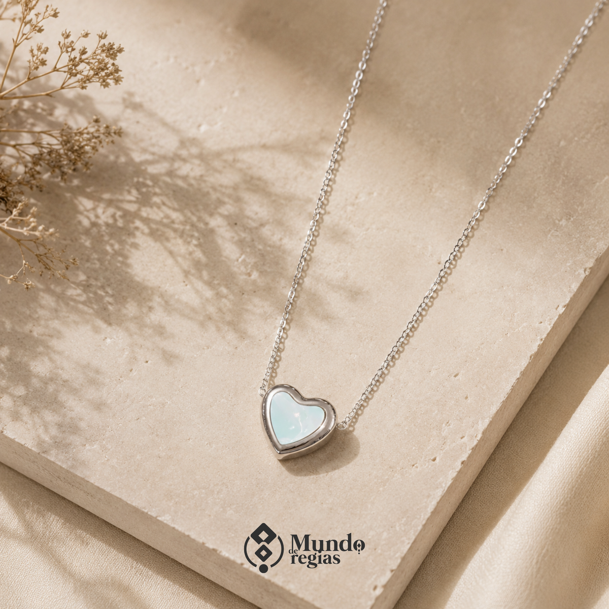 Collar Bianca Acero Inoxidable Premium