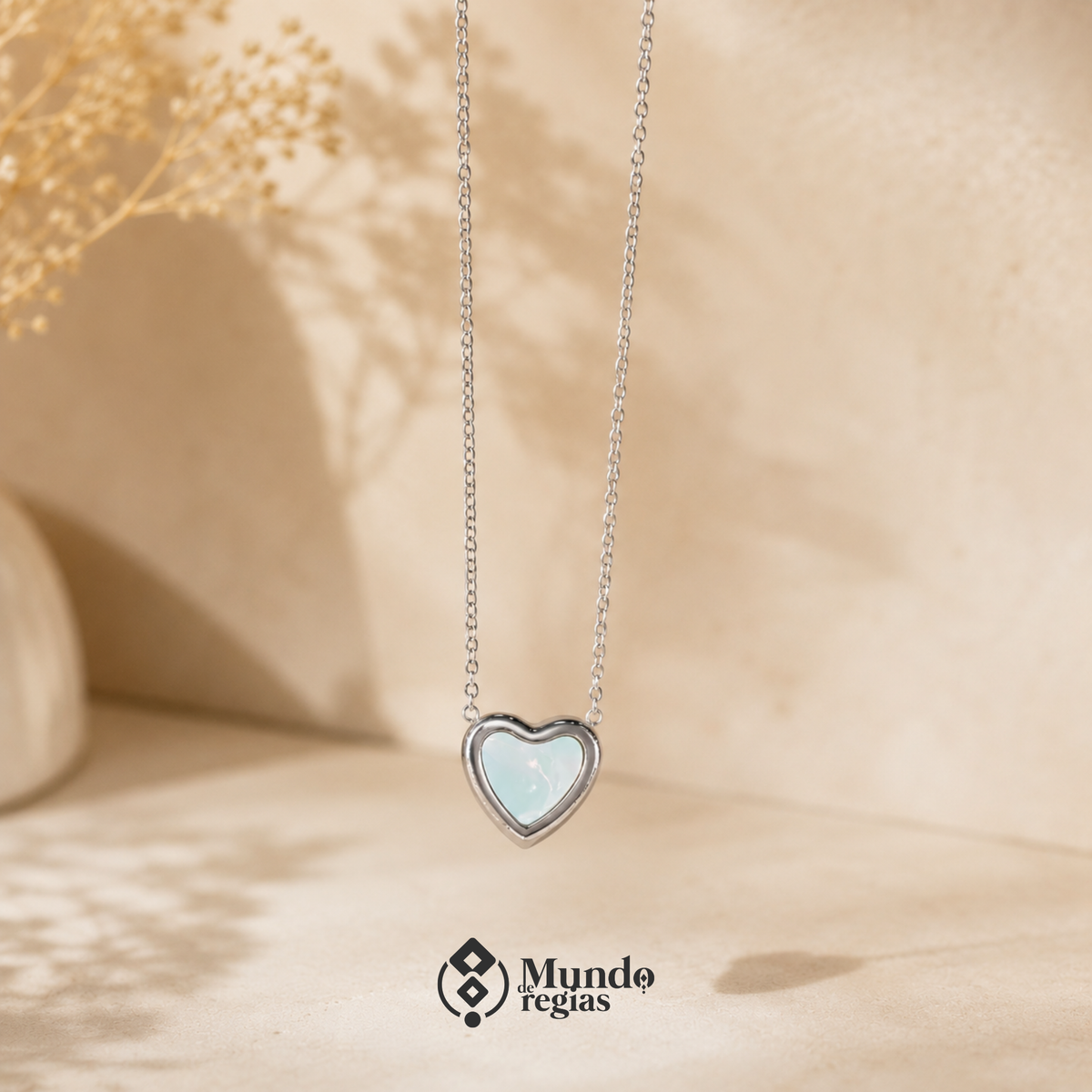 Collar Bianca Acero Inoxidable Premium